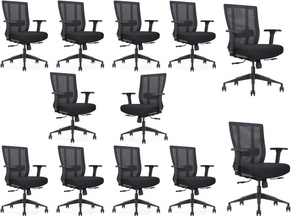 GM Seating Bitchair Ergonomic Mesh Office Chair - Adjustable Lumbar Support Computer Desk Chair with Height Adjustable Arms - Seat Depth Adjustable Executive Office Chair -  (Black)