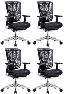 GM Seating Ergobilt High-Back Ergonomic Office Chair - Large Mesh Chair with Lumbar Support & Adjustable Armrest - Swivel Computer Desk Chair with Height adjustable backrest - Aluminum base – Black