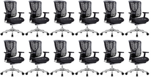 GM Seating Ergobilt High-Back Ergonomic Office Chair - Large Mesh Chair with Lumbar Support & Adjustable Armrest - Swivel Computer Desk Chair with Height adjustable backrest - Aluminum base – Black