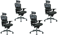 Load image into Gallery viewer, Ergohuman High Back Swivel Chair with Headrest, Black Mesh &amp; Chrome Base