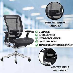 https://ergoluxseating.com/cdn/shop/files/2_760ac0d7-9d99-4f43-b416-3ad6c5baa350_300x300.png?v=1696428341