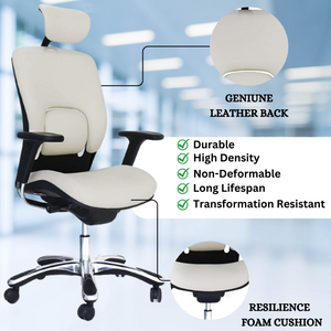 GM Seating Ergolux Genuine Leather Executive Office Chair Lumbar Support Modern Style Ergonomic Chair for Home Office Comfortable Desk Chair with