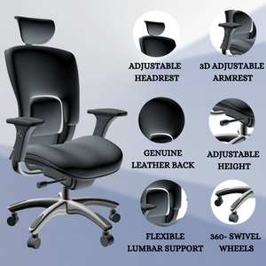 Different Types of Office Chair Lumbar Support