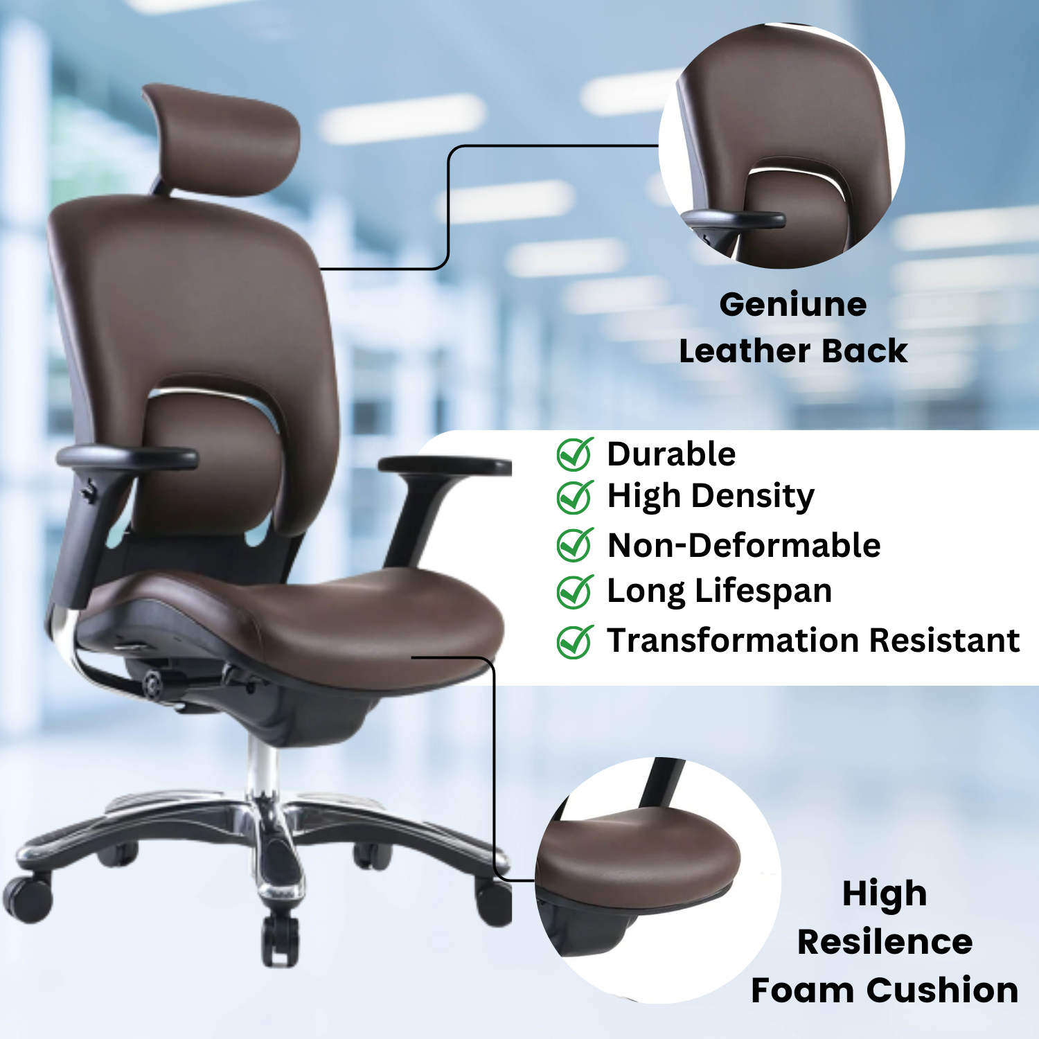 GM Seating Ergolux Genuine Leather Executive Hi Swivel Chair Chrome Base with Headrest Lumbar Support Modern Ergonomic Chair for Home Office