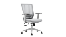 Load image into Gallery viewer, Bitchair Ergonomic Mesh Conference Room Chair - Adjustable Lumbar Support Computer Desk Chair with Height Adjustable Arms - Seat Depth Adjustable Executive Home Office Chair - (Gray) (Pack of 2)